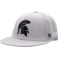 Men's Top of the World Gray Michigan State Spartans Fitted Hat