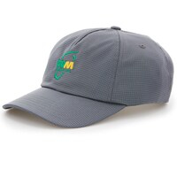 Men's PGA TOUR Gray Waste Management Phoenix Open Mesh Adjustable Hat