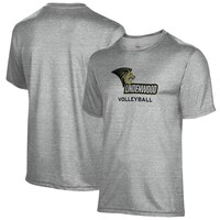 Men's Gray Lindenwood Lions Volleyball Name Drop T-Shirt