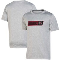 Youth Russell Gray South Carolina Gamecocks Team T-Shirt