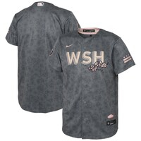 Youth Nike Gray Washington Nationals City Connect Replica Jersey