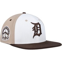 Men's Pro Standard White/Brown Detroit Tigers Chocolate Ice Cream Drip Snapback Hat