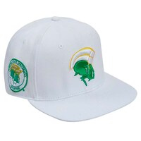 Men's Pro Standard White Norfolk State Spartans Mascot Evergreen Wool Snapback Hat