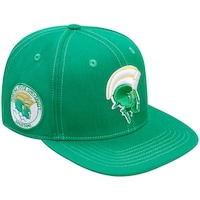 Men's Pro Standard  Green Norfolk State Spartans Evergreen Mascot Snapback Hat