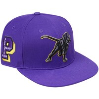 Men's Pro Standard  Purple Prairie View A&M Panthers Evergreen Mascot Snapback Hat