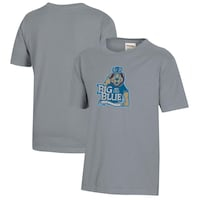 Youth  Gray Ohio Dominican Panthers Logo Comfort Colors T-Shirt