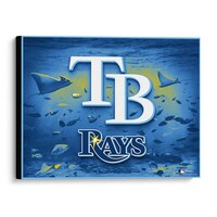 Tampa Bay Rays 20" x 24" Canvas Giclee Print - Art by Brian Konnick