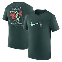 Men's Nike Green Liverpool Original MAX90 T-Shirt