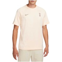 Men's Nike Light Pink Tottenham Hotspur Travel Raglan T-Shirt