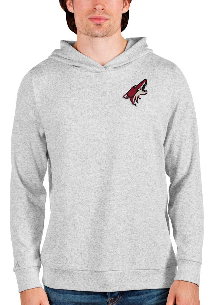 Antigua Arizona Coyotes Mens Grey Absolute Long Sleeve Hoodie, Grey, 100% POLYESTER, Size XL